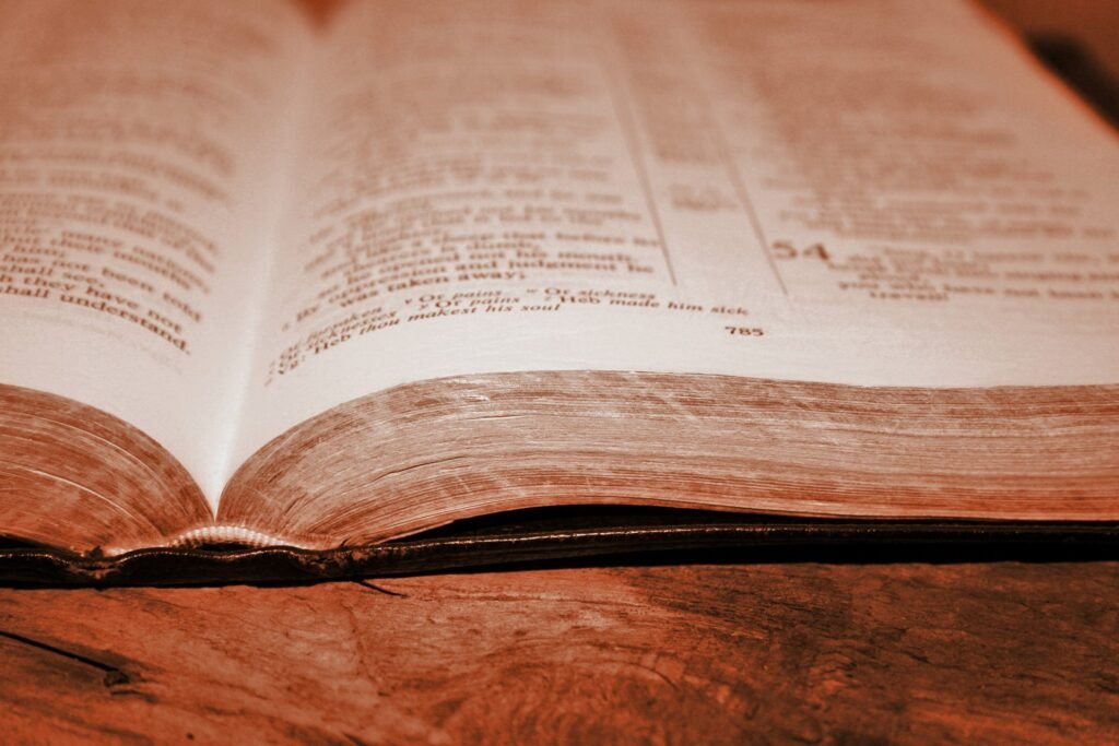 bible 101